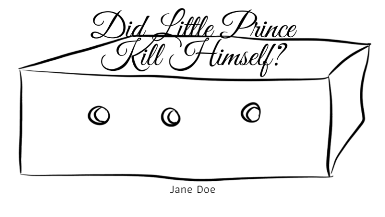 Did Little Prince Kill Himself?